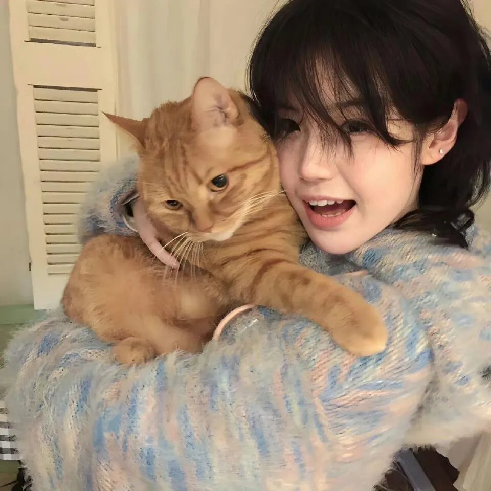白罗的圣诞假期
